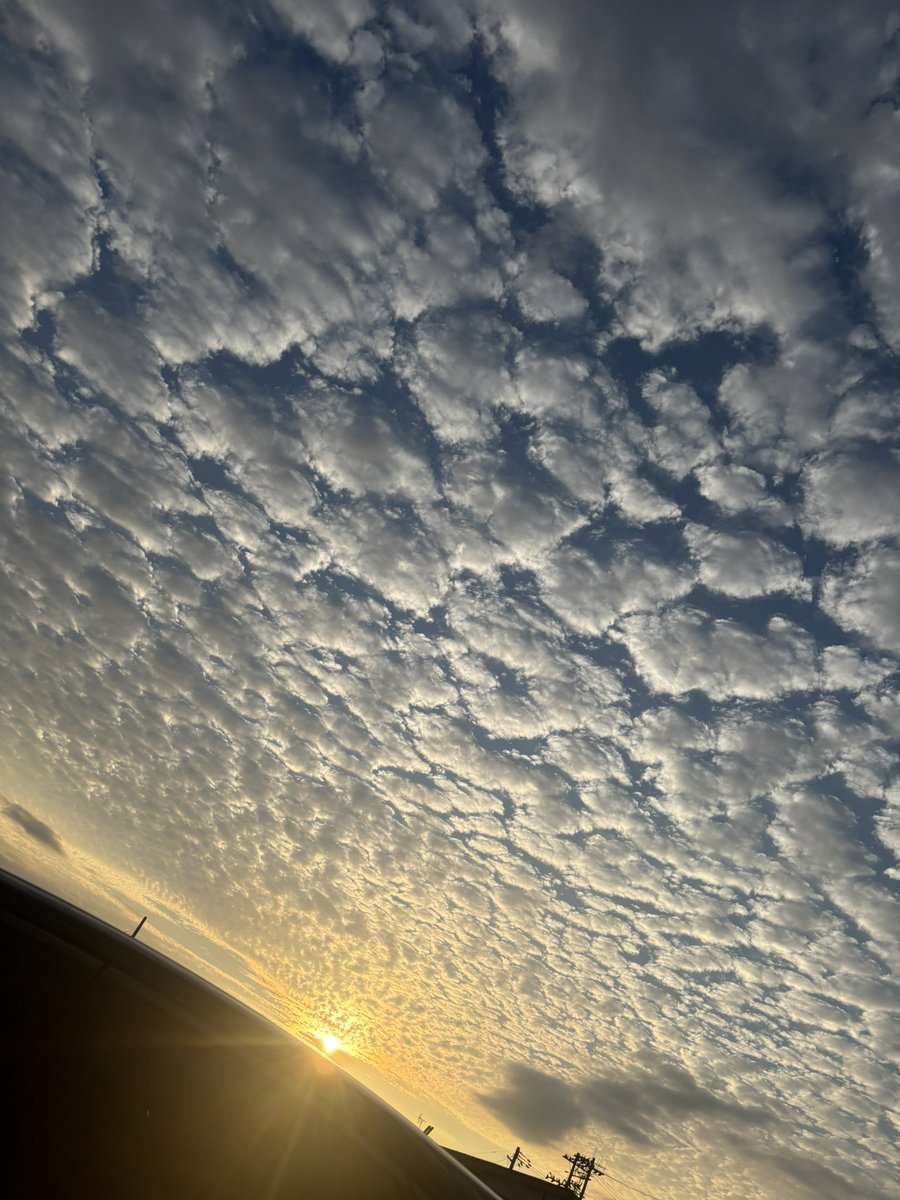 RILYS_chie8376's tweet photo. なんだろ…すんごいうろこ雲☁️ https://t.co/NQHPihVdOV
