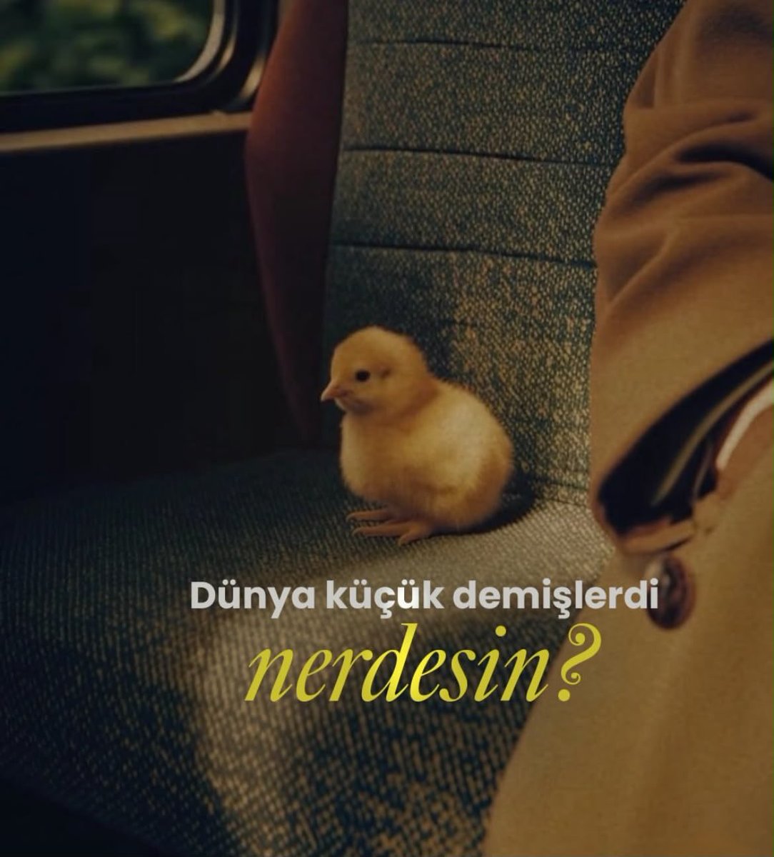 Tgcdagg's tweet photo. *alıntı
… https://t.co/zSPFdZshjR