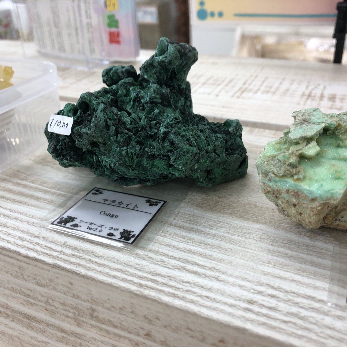 MMarcheOyama's tweet photo. @shisas_lab シーサーズ・ラボさま
商品追加にいらしてくださいました！ https://t.co/XtSPixrz9c