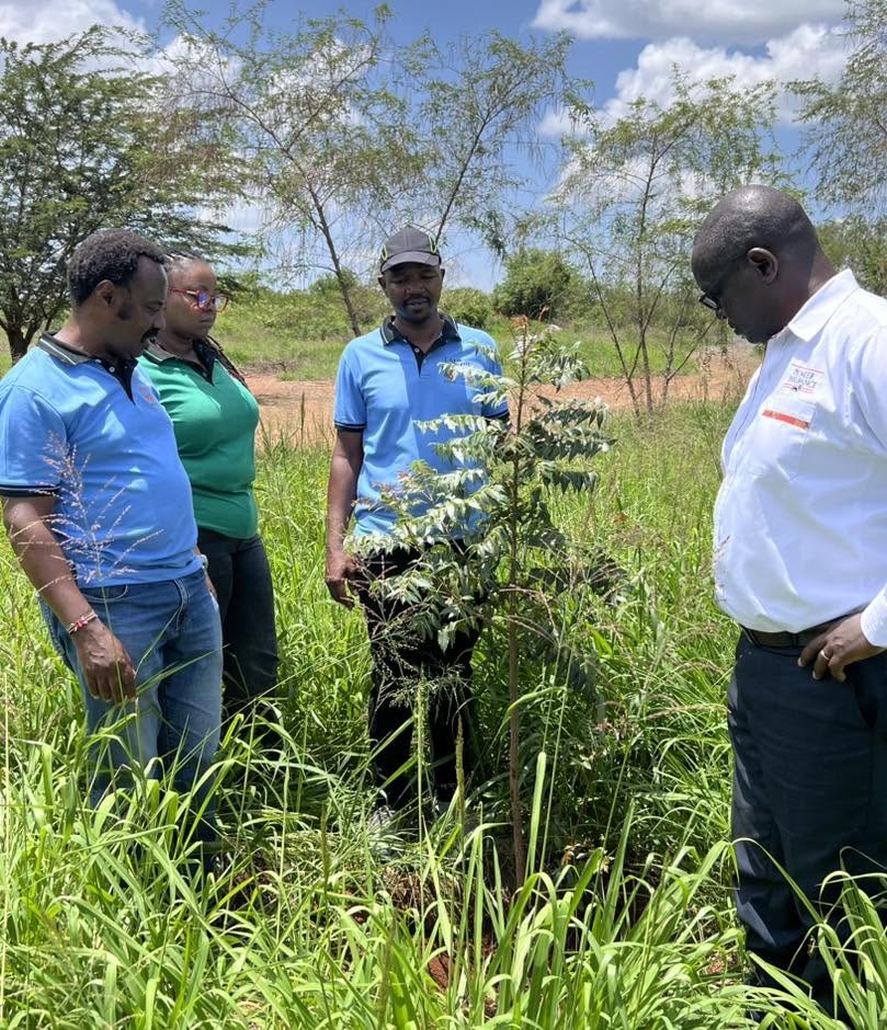 UoNWMI's tweet photo. Landscape restoration is about more than planting trees. It's about restoring ecosystems, strengthening communities &amp; building partnerships that create lasting impact.
Together we R restoring landscapes &amp; growing hope for future generations. #LANSRET @uonbi @WeDontHaveTime https://t.co/IKEplQBaen