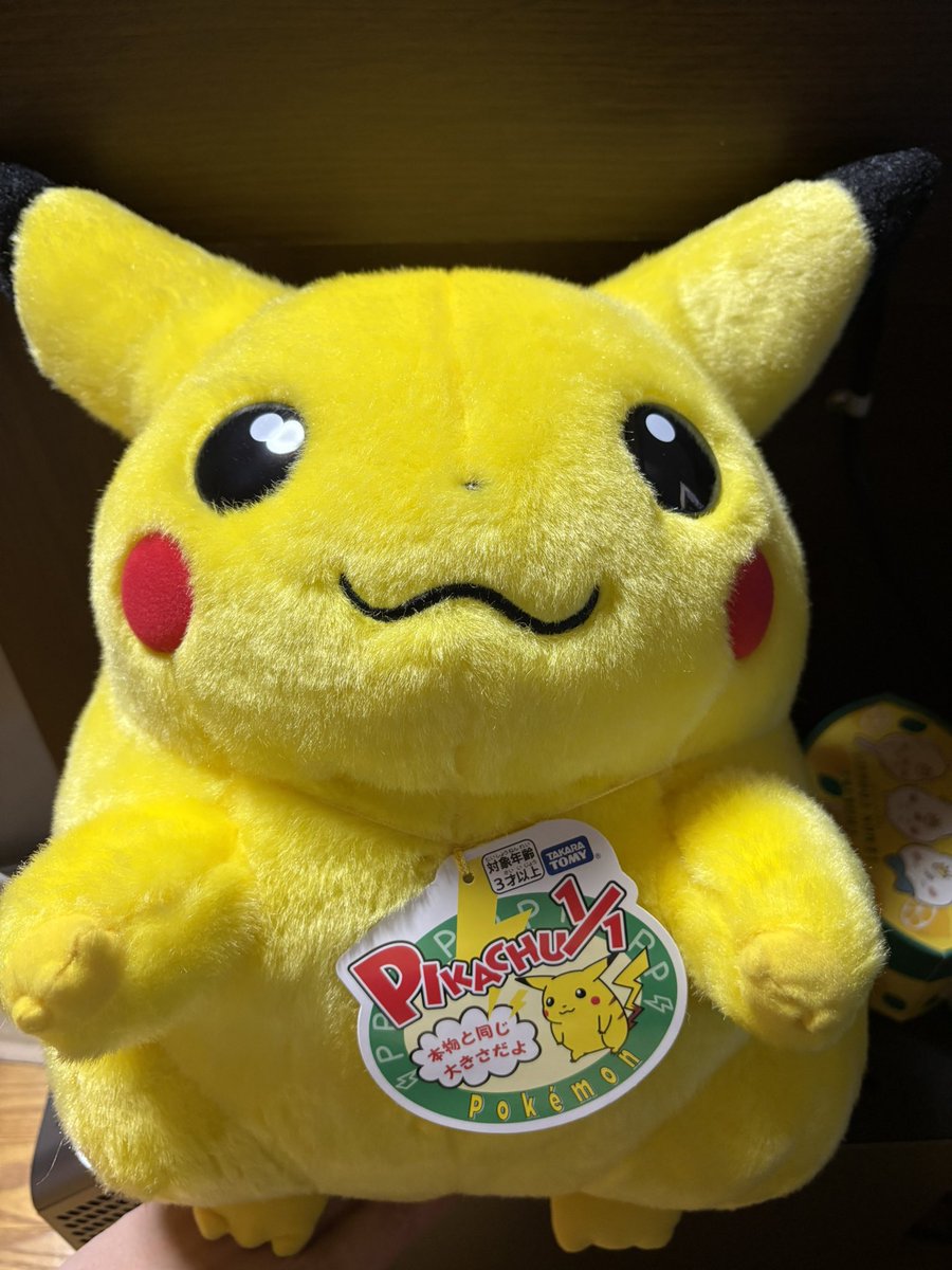 beat_hapinoko's tweet photo. 1/1ピカチュウに出会ったので買ってしまった https://t.co/V72RhbimwI