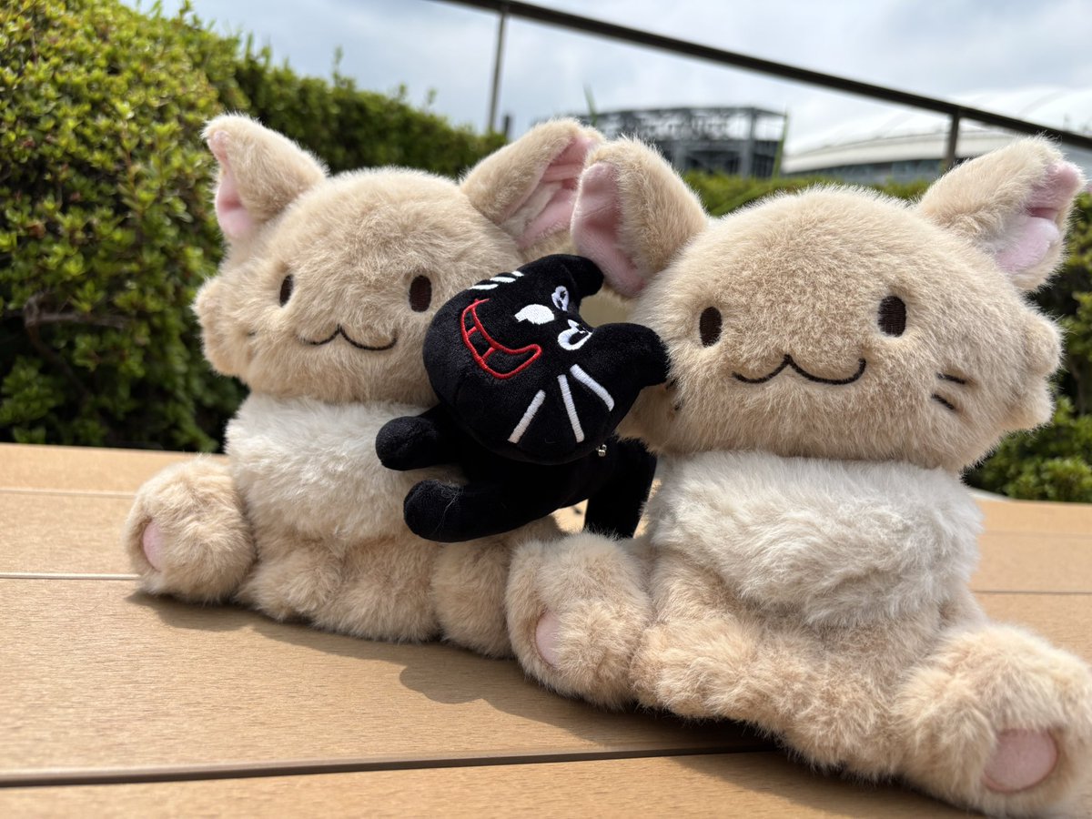 OkHxu's tweet photo. 東ドの余韻と他の方のX見て友達作り良いなーと思いました
のでTOP4友達募集します！
♡くれた人フォローしにいきます！
🐮推しです

23年東ド、レトセトラ、東キヨ、ガチ伝、26年東ド両日
参戦してます🔥

垢移設したばかりであまりポストしないかもですがよろしくお願いします🙇‍♀️

 #TOP4TOKYODOME2 https://t.co/EfcVIxTzVb