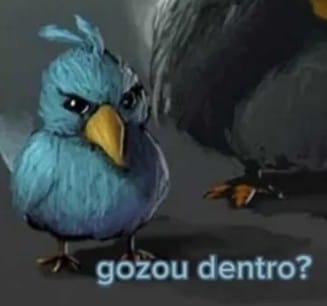 CHACAL_XABLAU's tweet photo. eu tô desde a season 10 não sabendo o que os itens de mago fazem e vou continuar assim, pra mim só brilha e da dano https://t.co/d0D5jpPutx