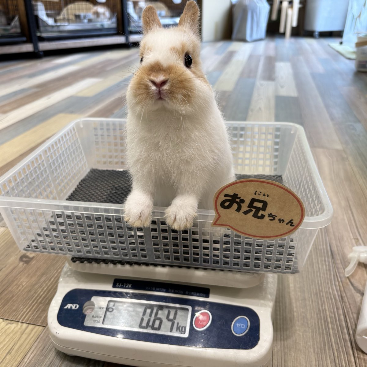 お兄ちゃんと弟くん すくすく成長しています☺️ #南町田グランベリー