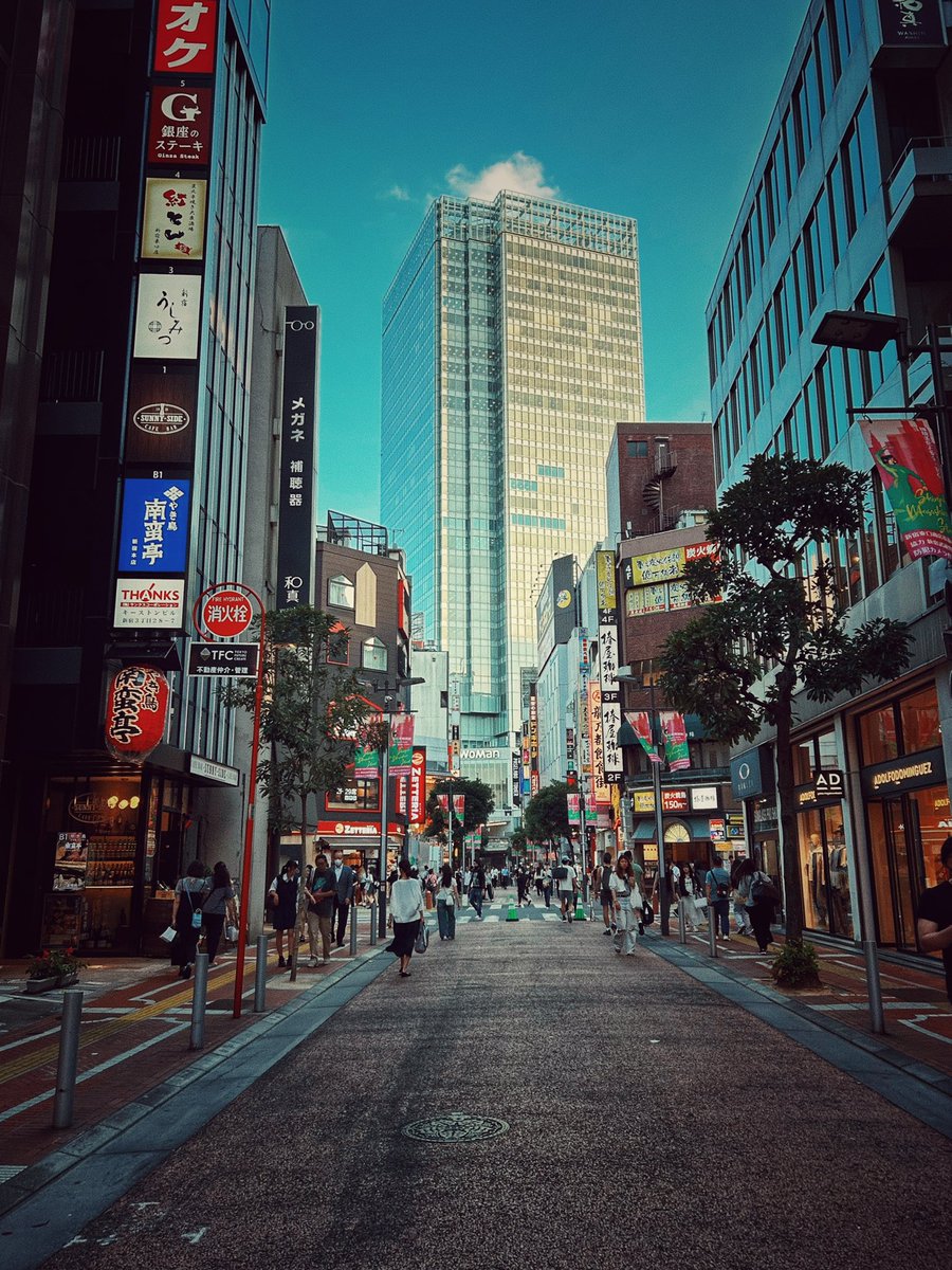 tauchijunya's tweet photo. 初夏の風が吹く。こんな日はぼーっとするだけで幸せ。音楽を聴いたらもっと幸せ。 https://t.co/KaZPiVMTUH