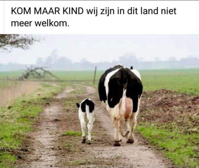 JanvanArendonk's tweet photo. @minlvvn @stasLVVN als jullie met je gore klauwen van de boeren afblijven is er niks aan de hand https://t.co/ZwwQiWTGC9