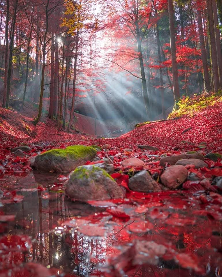 man_dares's tweet photo. Good morning https://t.co/wS0AIfp7uf