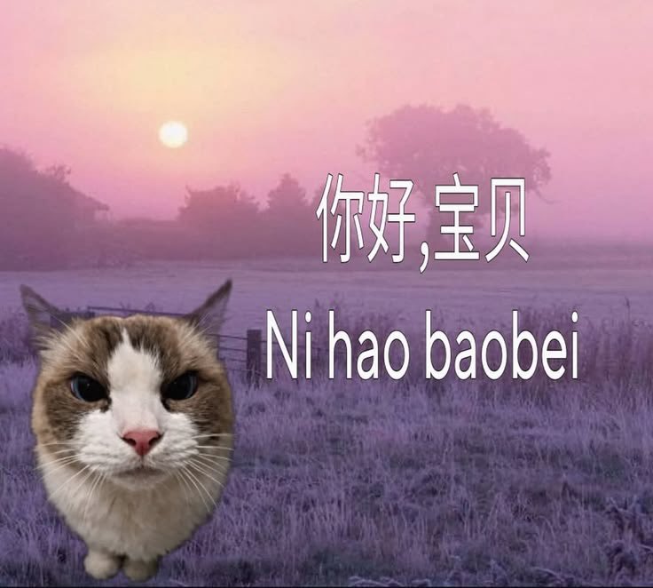 noyapping's tweet photo. https://t.co/cfrOL7WBq1