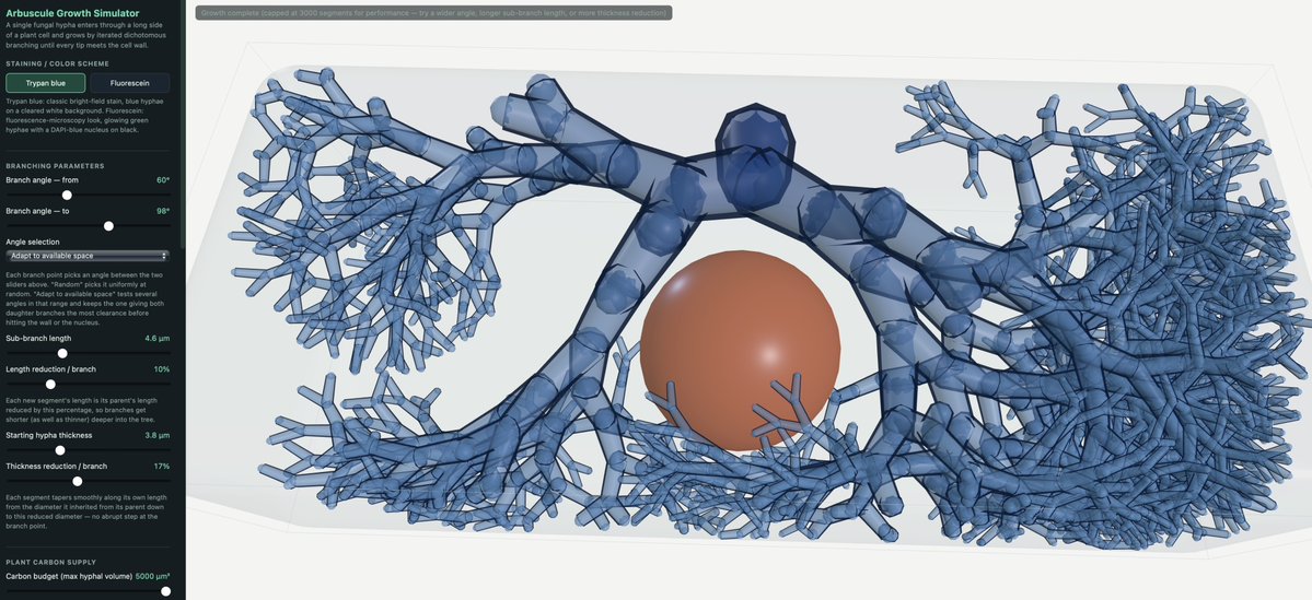 dromius's tweet photo. The 'heart' of the #Mycorrhiza #fungi #symbiosis is the arbuscule where plant and fungus exchange nutrients and carbon.

Try the arbuscule growth simulator. Let me know how you adjust parameters to get the most beautiful arbuscules.
https://t.co/fIHGTUKn6c https://t.co/pO0SUHlzAM