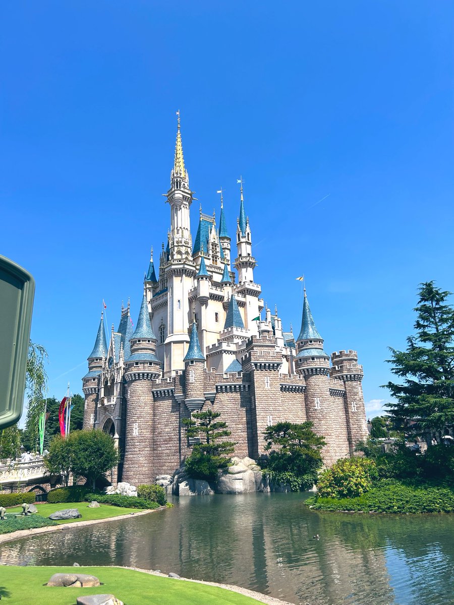 falling_rose69's tweet photo. 突発性ディズニー🎪🎡🎢🎠🎪 https://t.co/7FtkbiT2Pl
