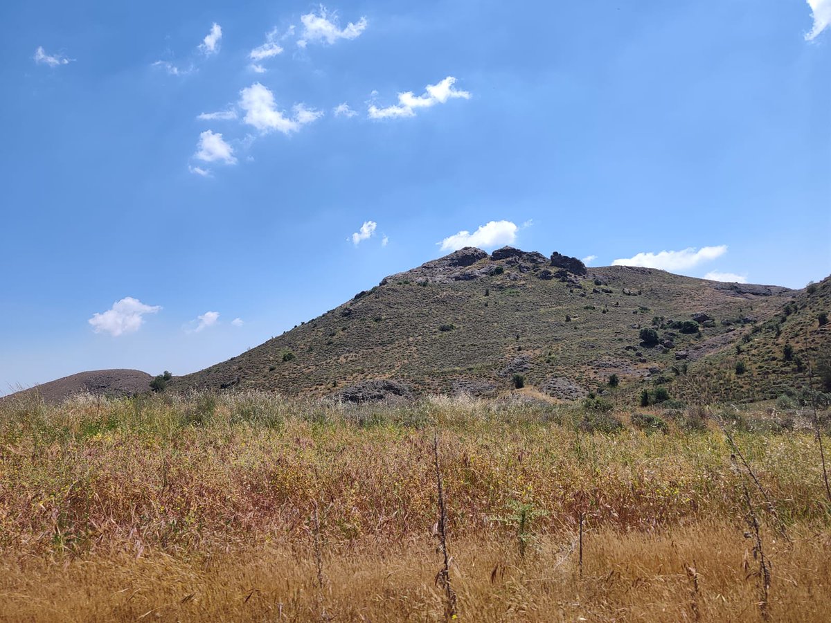 axiesventures's tweet photo. Axies awarded new permit ✅

Our application for an exploration permit to the south of our recent Kokkinoantonis #copper discovery has been awarded.

We look forward to expanding our successful fieldwork further along this underexplored and highly prospective structural trend ⛏️ https://t.co/gwoq6KM7yp