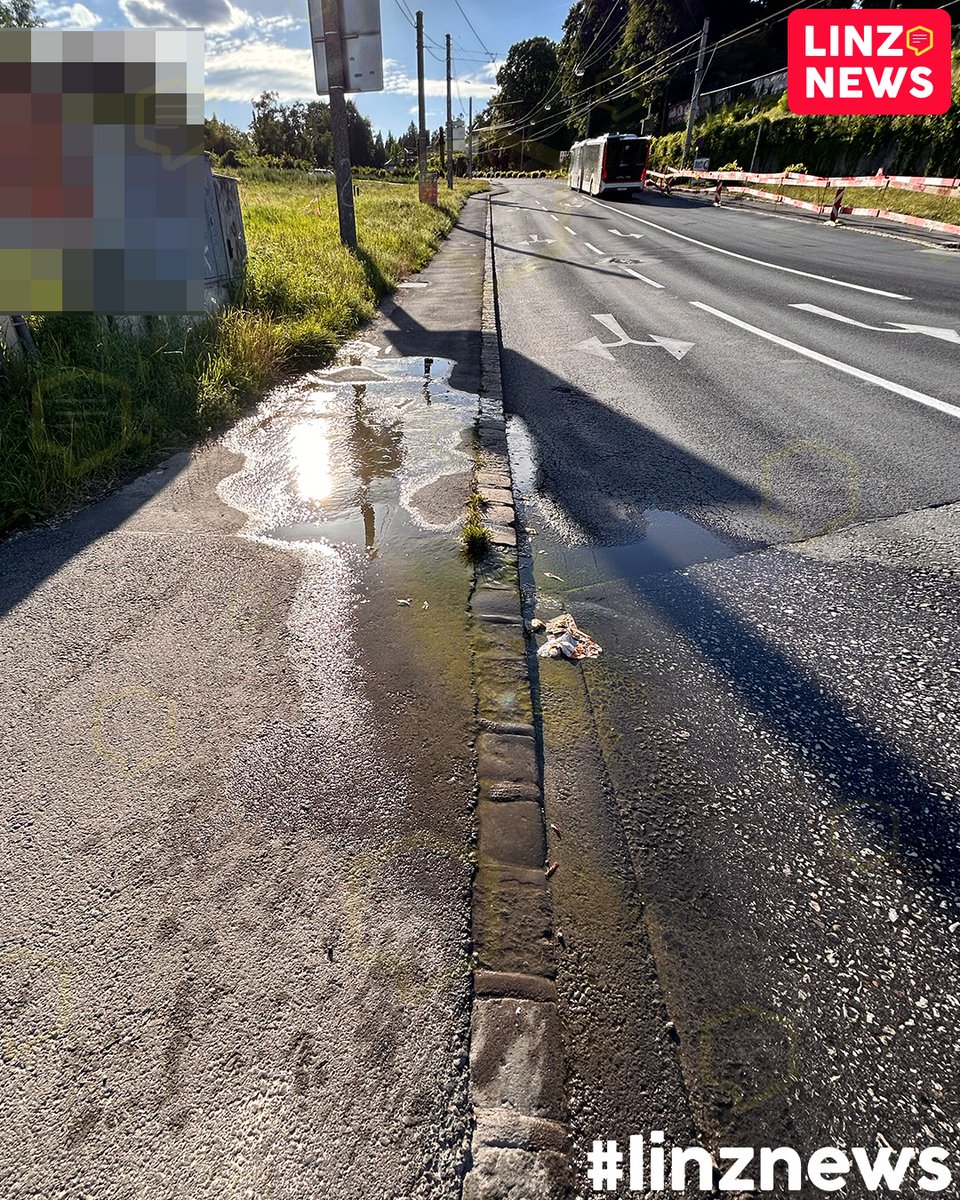 linzdotnews's tweet photo. 💧 Ist das Hangwasser?
🏗️ Schon vor dem nächsten großen Baustart der A26 am Montag sind Anwohner besorgt.
🌧️ Aus dem Hang tritt augenscheinlich immer wieder Wasser aus, auch wenn es keinen Regen gibt.

#baustelle #westring #a26 https://t.co/jtVbvCWSBC