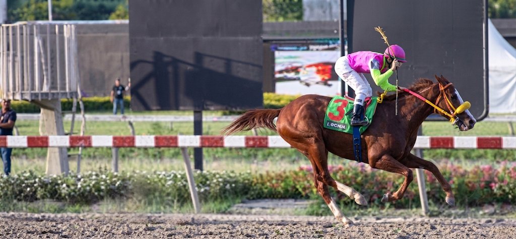 blindadosalas1's tweet photo. #Hipismo #CrónicasDeLaTripleCoronaVe El 17/07/2011 IL MACCHIATO 🇻🇪 se consagró tras galopar a sus rivales en el #ClásicoRBDV (150⅗) pero el valioso hijo de DEHERE cayó fulminado en la primera curva (Poste 1.500 m.) luego de su gran faena.

De la gloria a la tragedia. Yo Lo Viví. https://t.co/G3OEsYsRWi