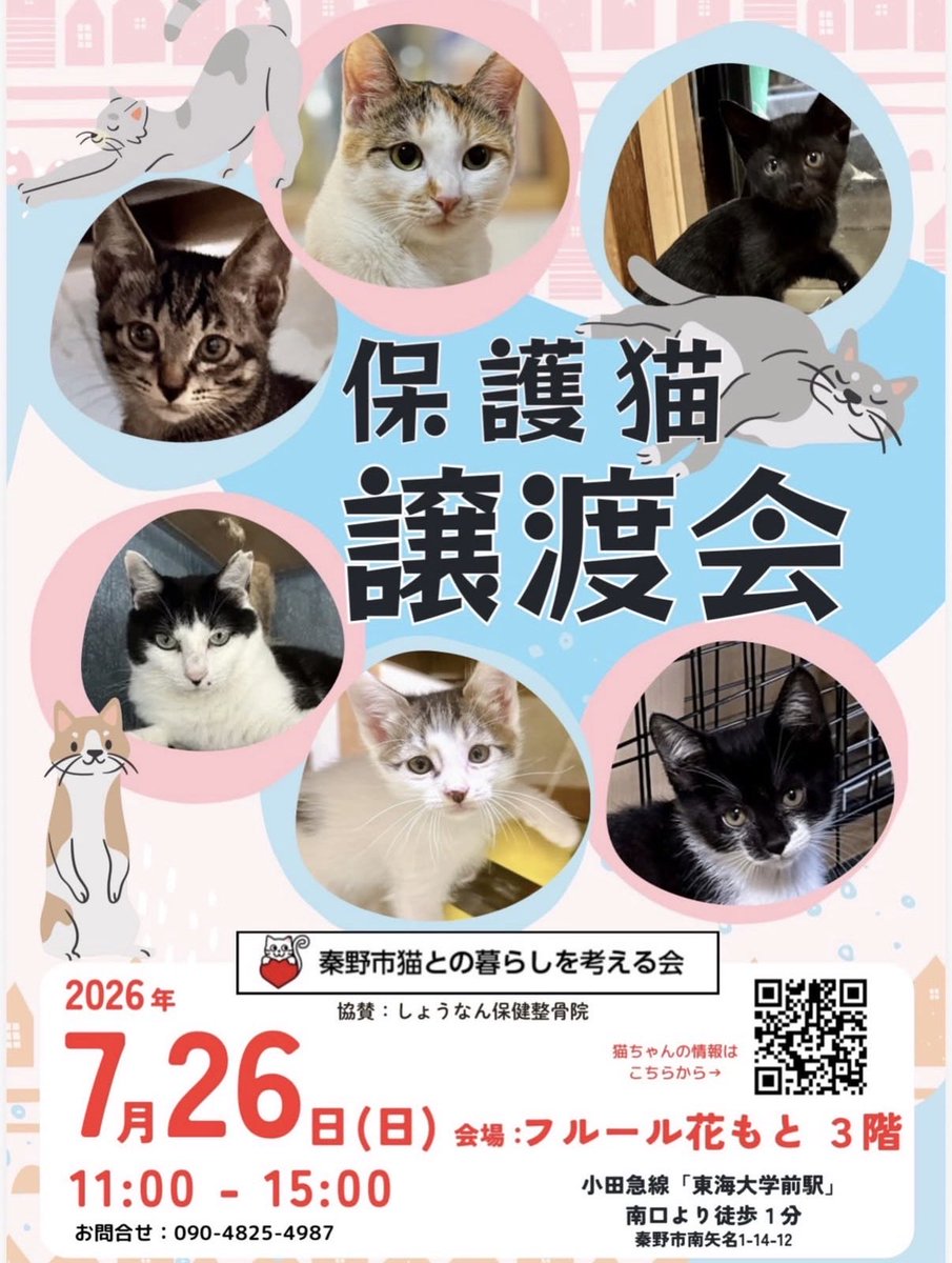 info_hadanoneko's tweet photo. 🐈猫の譲渡会を開催します🐈‍⬛
事前予約不要！お気軽にお越しください✨

📅7月26日（日）11:00〜15:00
📍フルール花もと3階（秦野市南矢名1-14-12／東海大学前駅南口徒歩1分）

参加する猫ちゃんは随時HP等でご紹介🐾
素敵なご縁がありますように🍀

#保護猫 #譲渡会 #秦野市 #里親募集 https://t.co/vCV2bdGebW