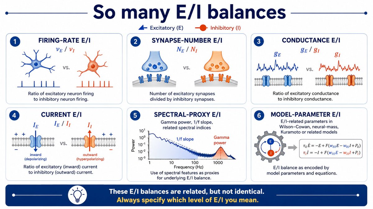 thmonk_pf's tweet photo. 神経科学で用いられる
Exitation Inhibition balance (E/I balance)
の文脈的な違いについてnoteにまとめてみました。

#EI_balance 
#papers 
https://t.co/CCm8UwRO20 https://t.co/qT0fibu0nk