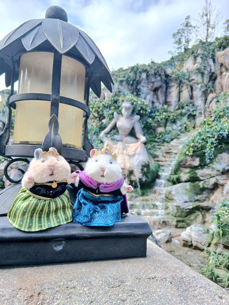 miwanomnom's tweet photo. 昨日は、久々のディズニーシー✨
うちのおはむ達も、アナ雪ルックでインパ❄
25周年満喫してきました🫡
新しいうきわまん、買うのに1時間くらい並んだけどウマウマ～でした🛟

#ぬい活
#はむにぎり
#ディズニーシー
#25周年 https://t.co/DQEQKVTD1S