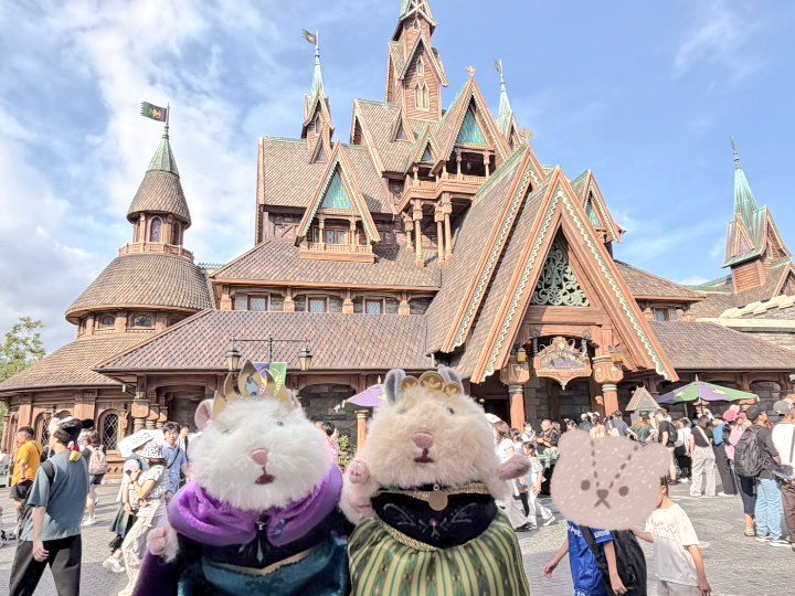 miwanomnom's tweet photo. 昨日は、久々のディズニーシー✨
うちのおはむ達も、アナ雪ルックでインパ❄
25周年満喫してきました🫡
新しいうきわまん、買うのに1時間くらい並んだけどウマウマ～でした🛟

#ぬい活
#はむにぎり
#ディズニーシー
#25周年 https://t.co/DQEQKVTD1S