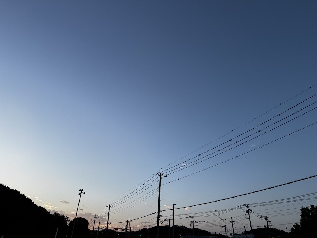 hikaunyunic's tweet photo. 今日は一気に夏の風情すぎてびびるなど🤤梅雨はちゃんと梅雨らしい梅雨だったから、七月はもうちょっと火力抑えめで良いんだよ…！この梅雨をやり切ったならできるはず…！ https://t.co/4pLAMia1od