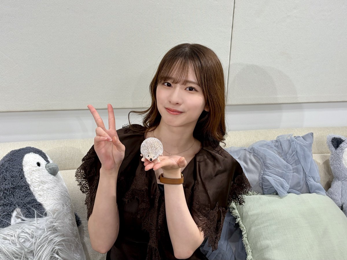 nogizaka46's tweet photo. 本日7月9日(木)19:00頃～、 #SHOWROOM 「#のぎおび」に #菅原咲月 が出演します🥰

皆さま、ぜひご覧ください🦔💘

https://t.co/57PXWupHSw

#乃木坂46 https://t.co/WJoeQFOgtQ