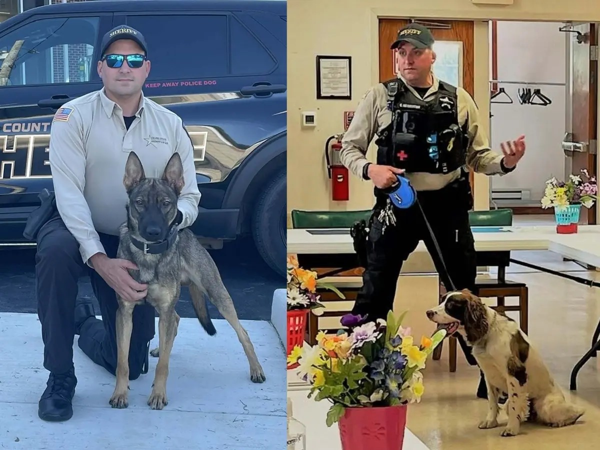 MarioNawfal's tweet photo. 🇺🇸 A New Jersey sheriff's sergeant is facing animal cruelty charges after 2 of his K-9s died in a hot police vehicle.

Prosecutors say Cody Henderson left Rip and Boomer in a parked, switched-off Chevy Tahoe for about 7 hours on May 29, windows closed, no heat alarm triggered.

Indoor kennels were right there in the courthouse and went unused.

A necropsy found both dogs likely died of heat stroke. Henderson's on unpaid leave and due in court July 30.

Source: CBS News, NBC10 / Writer: Julie