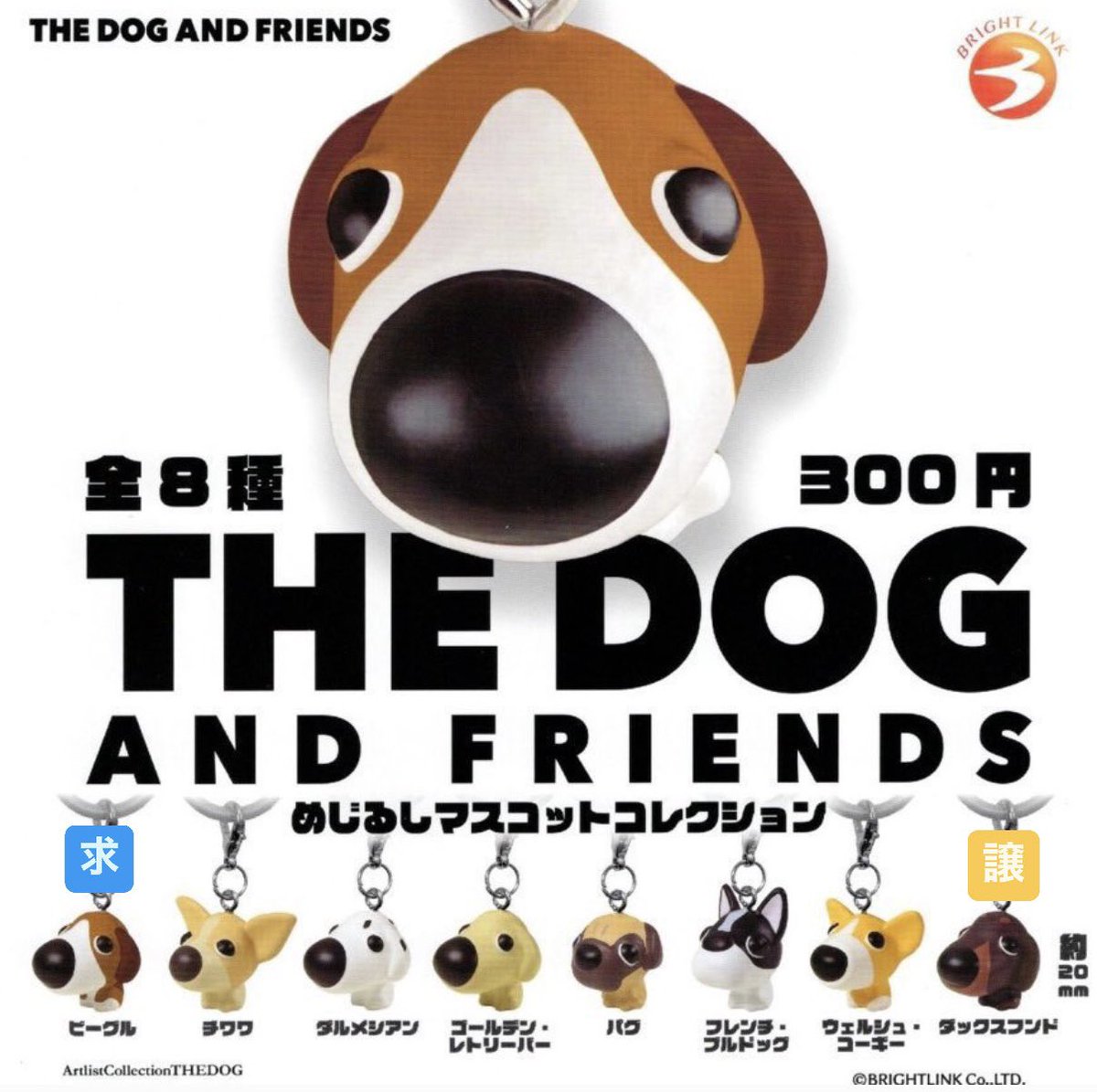 kyon_ju's tweet photo. THE DOG めじるしアクセサリー ガチャガチャ 交換　

【譲】ダックスフンド×2

求) ビーグル

郵送交換希望📮
お気軽にお声掛けください🙇🏻‍♀️

 #THEDOG https://t.co/6fGduCWH8B