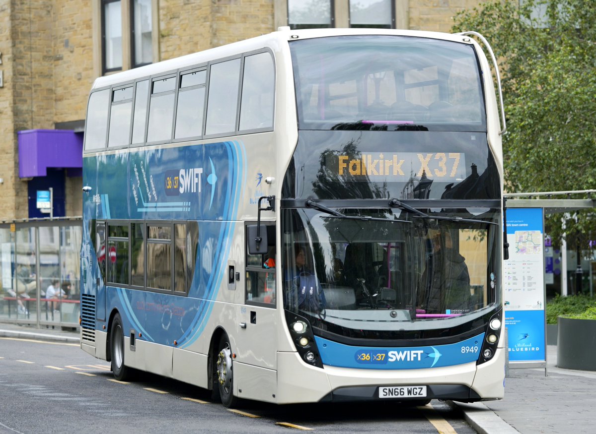 Midland Bluebird tweet media