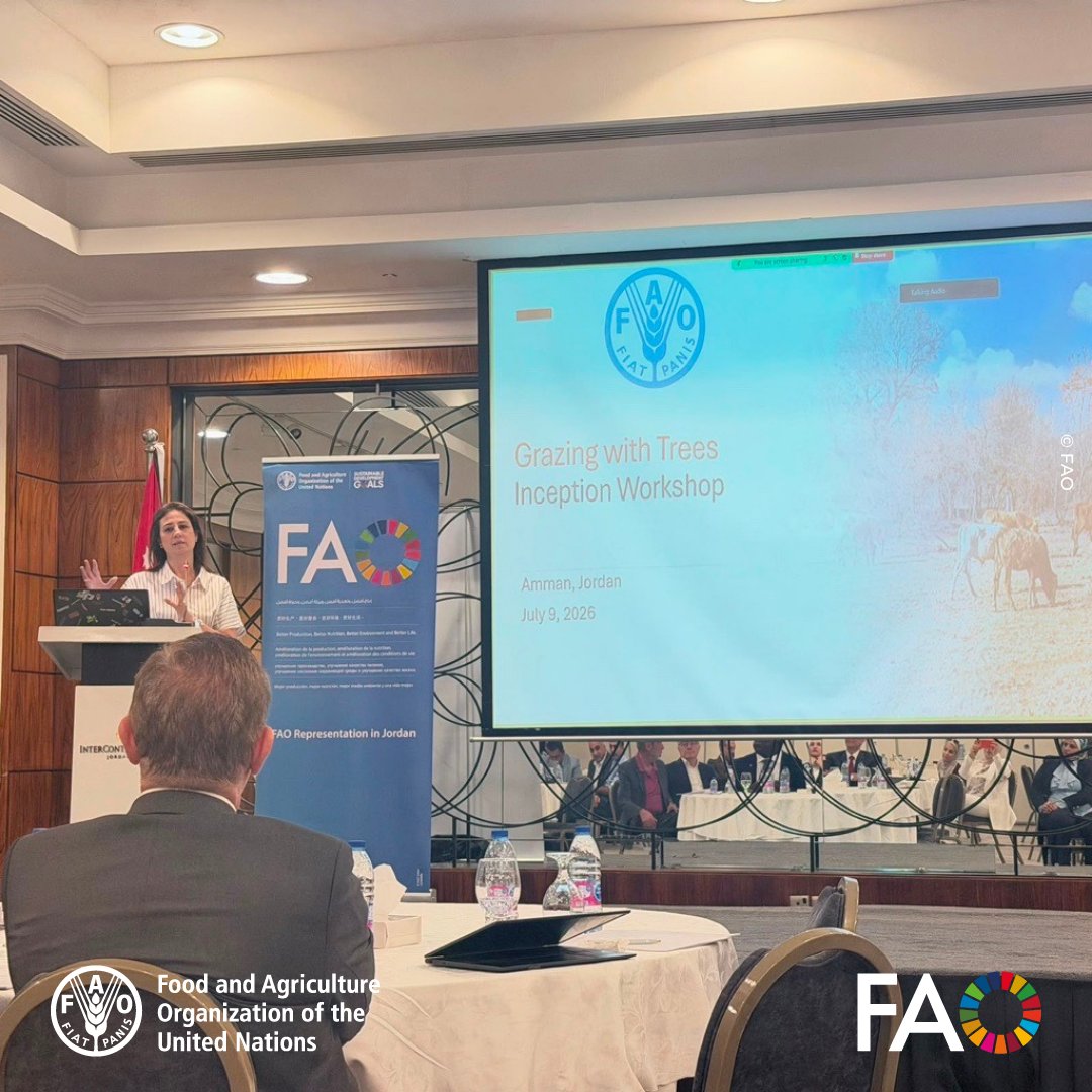 FAOinNENA_EN's tweet photo. 🌳The GEF-8 Grazing with Trees Project Preparation Workshop is taking place today in Amman, bringing together national partners, technical experts &amp; stakeholders to shape a project that will advance sustainable grazing practices, landscape restoration &amp; resilient ecosystems in 🇯🇴 https://t.co/1cEy27j0WV