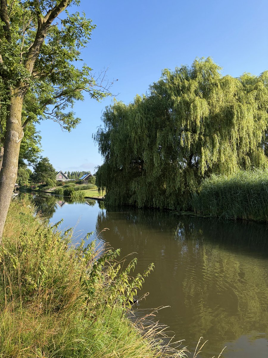 DriesEden's tweet photo. ☀️26° 🌓15° Fijne Donderdag #Valleikanaal #Veenendaal #Rhenen #Dutch #Nederland #Heuvelrug #Netherlands https://t.co/HiaIX9xKNM
