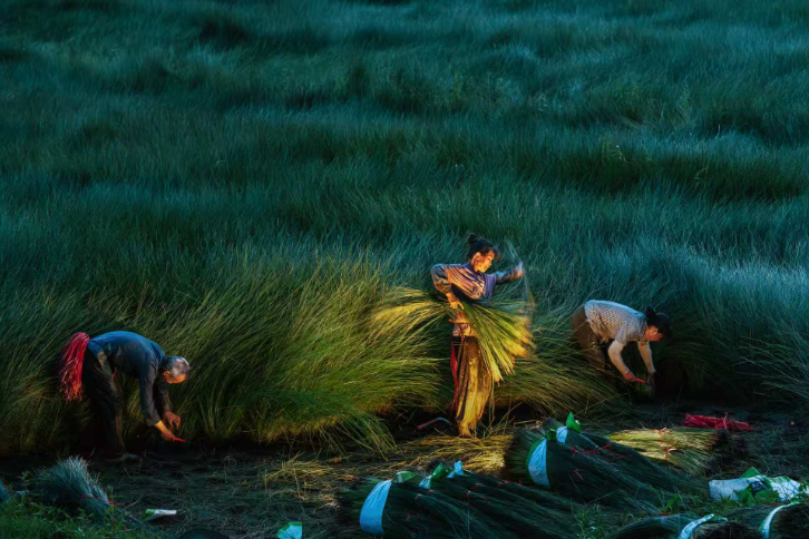 DynamicJiangxi's tweet photo. 🍀📍Ningdu, Ganzhou, Jiangxi: Rush to harvest rush grass in midsummer; traditional weaving enriches villagers and revitalizes the village.😀
@AmbassadeChine @China_Amb_Mdv @GovMikeHuckabee @EmbSuarezSalvia @amberliu
#Jiangxi #DynamicJiangxi #CharmOfJiangxi #JiangxiFriends #photography