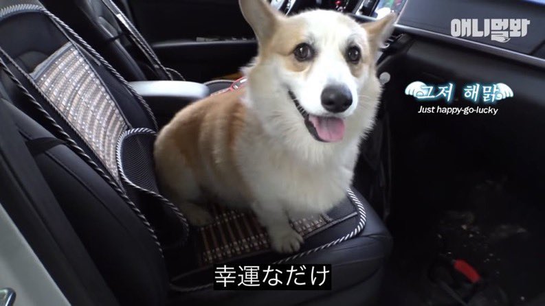 のっちー tweet media