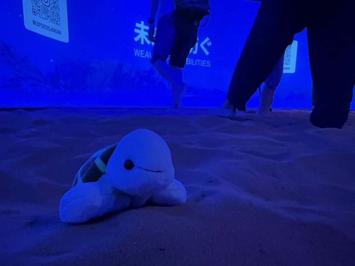 pinoberg's tweet photo. #これを見た人は無言で去年の7月の画像を貼る https://t.co/V2XJydaxEq