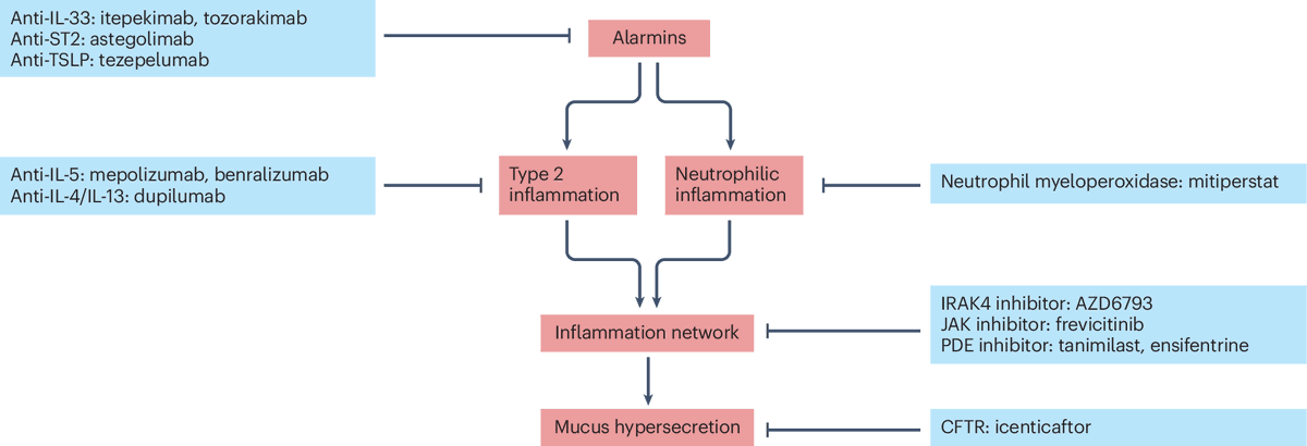 Nature Reviews Drug Discovery tweet media