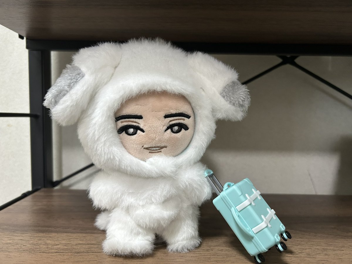 anna_nuinui's tweet photo. マツピン飼いたい https://t.co/iuZrOtL2GU