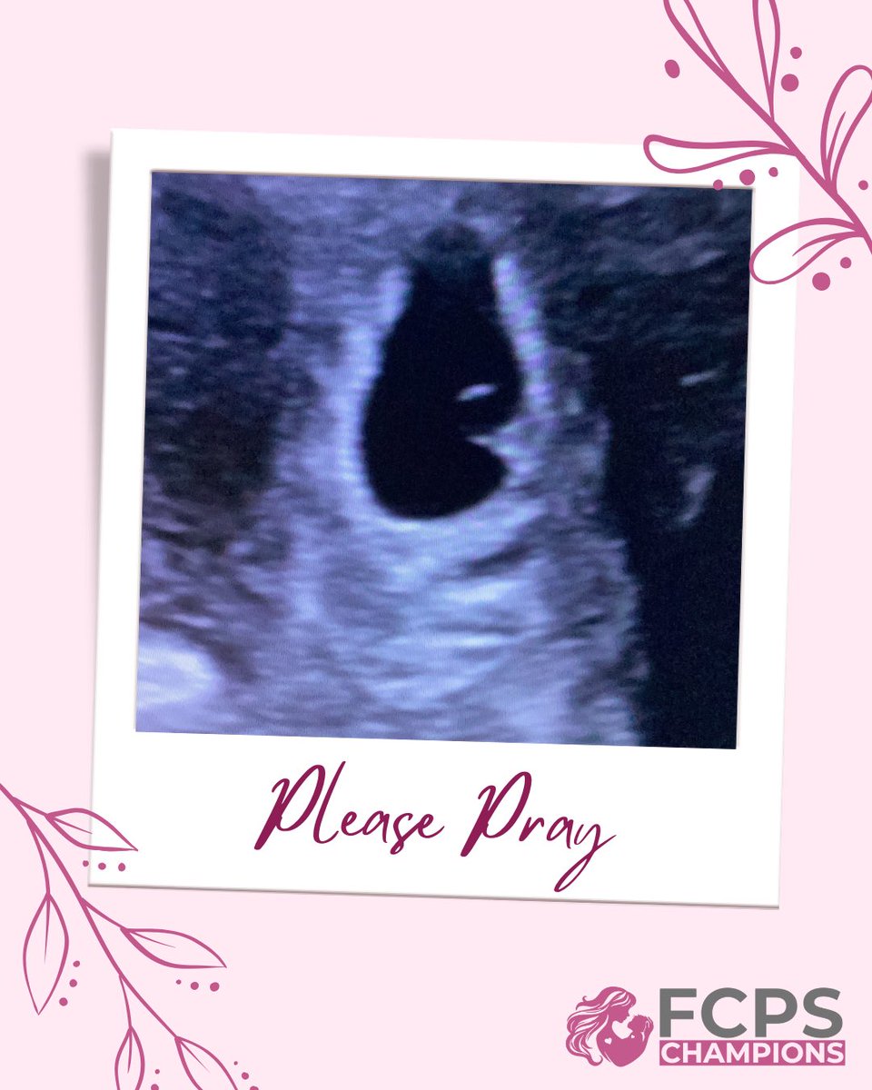 fcps_champions's tweet photo. Fear, uncertainty, and past heartbreak can make an unexpected pregnancy feel overwhelming. Please join us in praying for this young woman as she seeks hope, wisdom, and the support she needs. https://t.co/ZCJYFbvtrS