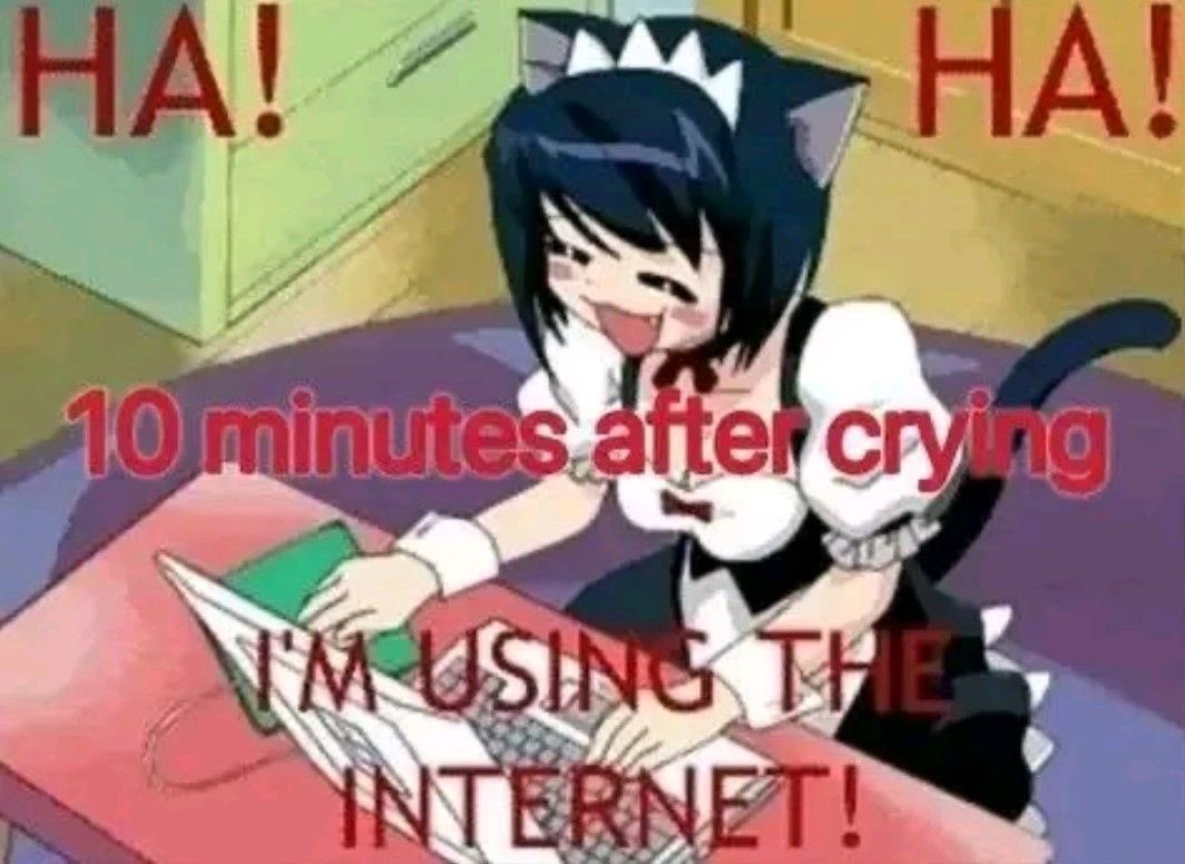 sillyzombiegirl's tweet photo. https://t.co/8HnXMnBVru