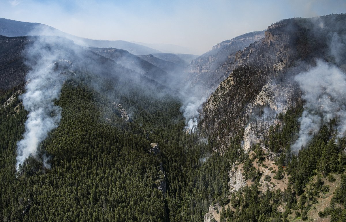 USWFS's tweet photo. Wildland fire science starts with asking the right questions. 🔥🔬 

The Joint Fire Science Program is now accepting applications for wildland fire research funding, with up to $9 million available nationwide to support research, student innovation, and science delivery that helps address today’s wildland fire challenges. 

Funding opportunities are available for: 
• Primary research: changing wildfire regimes and smoke impacts from prescribed fire and wildfire 
• Graduate student projects: Fire Leaders and Managers, Emerging Scientists 
• Regional Fire Science Exchanges 

JFSP is an interagency partnership between the Department of the Interior and the U.S. Department of Agriculture that helps connect science with real-world fire management. 

Applications are due September 17, 2026. 

Learn more and apply at https://t.co/aHAIjxEd1q.