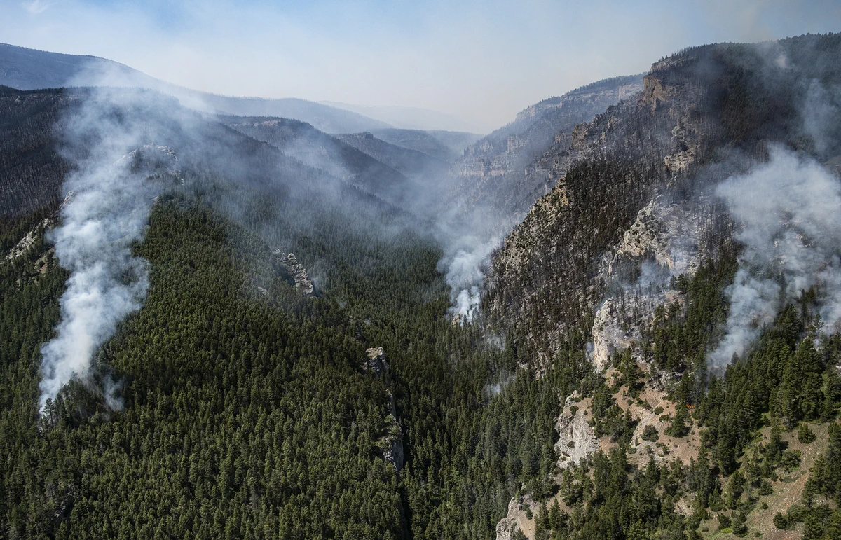 Smoke rises from multiple wildfire spots spreading through a dense forest in a mountainous area under a clear sky.