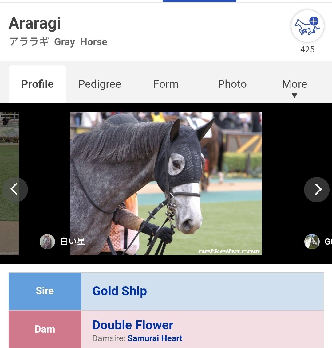 Cienban's tweet photo. Apparently Araragi is a race horse and Gold Ship's off spring 👀 https://t.co/6an3XUDamh
