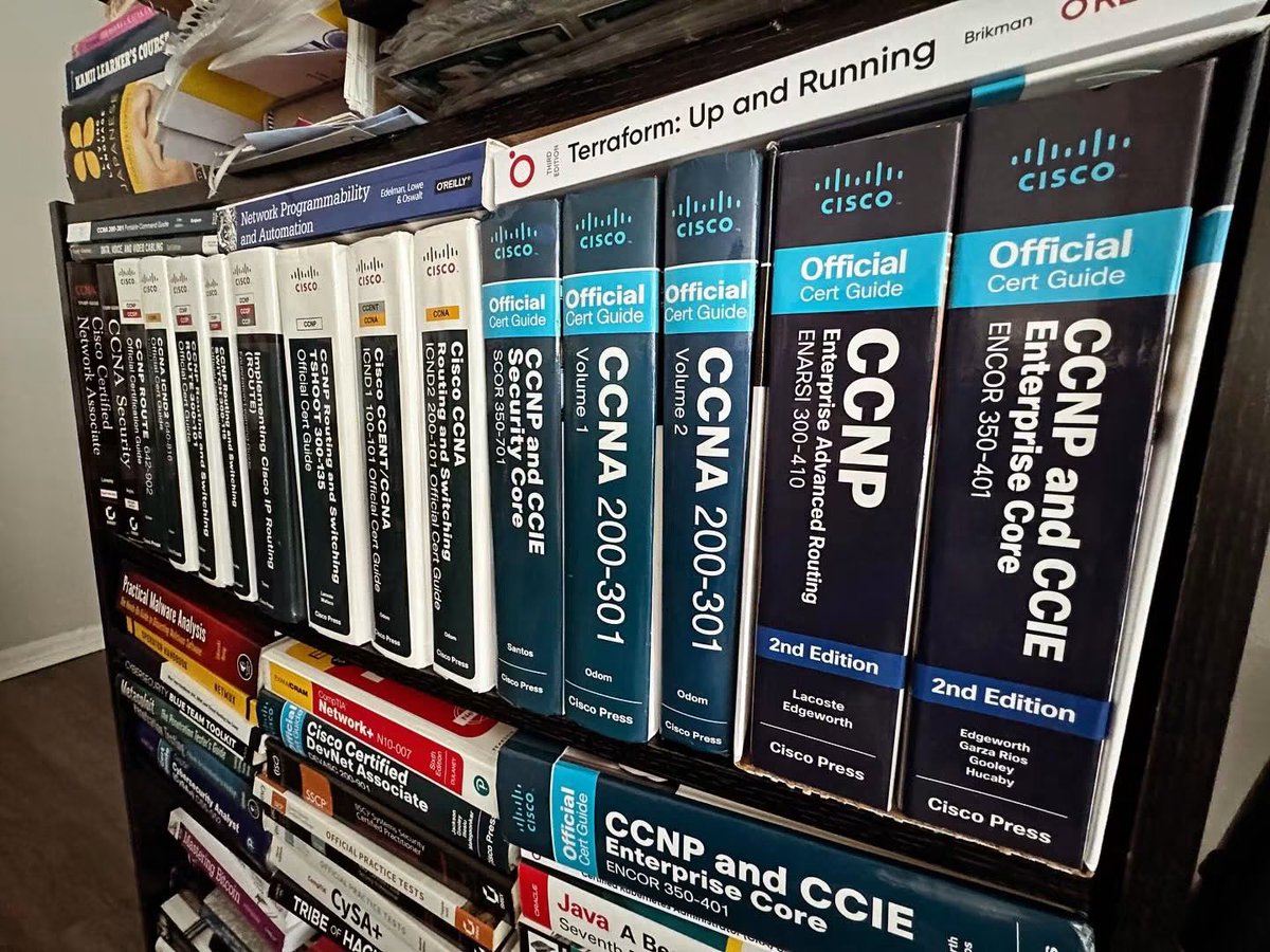 thedatabunny's tweet photo. https://t.co/sDmQpQOxP7