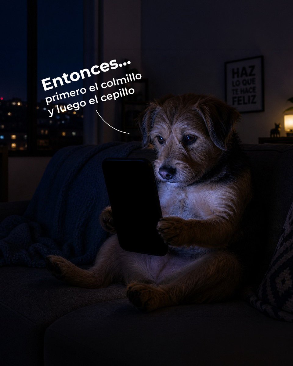 UBAQuito's tweet photo. #LiveQuitoSalud 🐾 | ¿Sabes qué debes hacer para mantener la salud dental de tu perro? 🤔

Descubre con nosotros la importancia del cepillado.

📅 Jueves 9 de julio.
🕖 7:00 p.m.

📲 Síguenos en TikTok: @ubaquito

#QuitoSalud #QuitoRenace #BienestarAnimal https://t.co/2N8NTRnkBY
