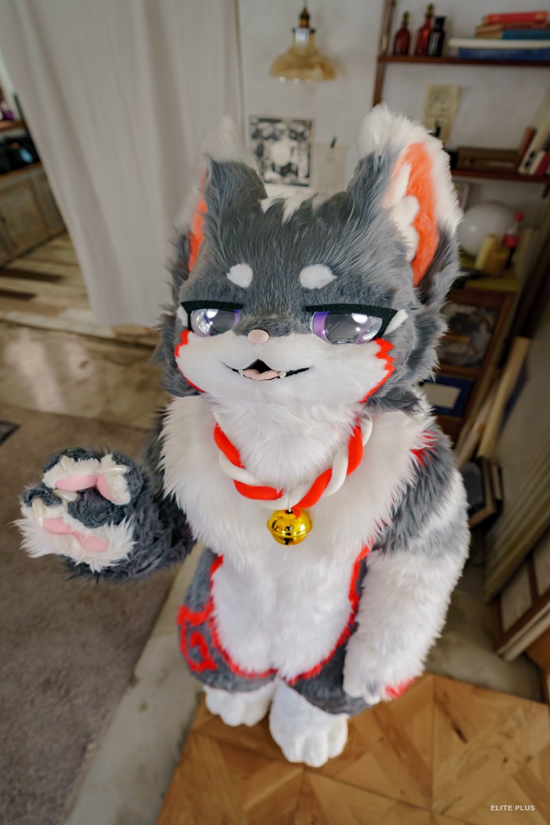 chibi_catto's tweet photo. ✌️
#FursuitFriday https://t.co/pEvZwUMZLW