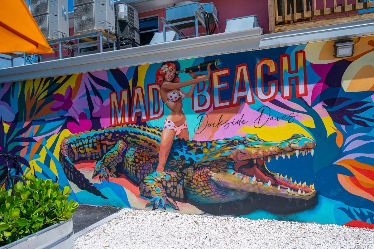 Visit St. Pete-Clearwater tweet media