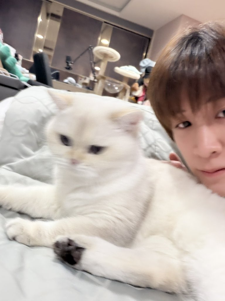 natasittttt's tweet photo. ปะป๊ากลับมาบ้านก็มีเด็กมานอนให้กำลังใจเยย หนูรู้ว่าปะป๊าจะทำการใหญ่หรอยู้กก 

TRAILER YOUR THIRD 

#ตัวอย่างที่สามของเธอ https://t.co/1gcUNVmJiO