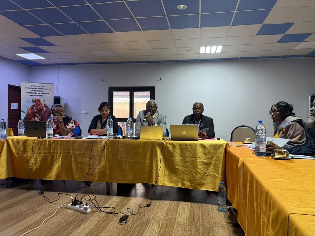 UN_Cameroon's tweet photo. Du 8 au 10 juillet 2026, Bertoua accueille la retraite d’alignement Gouvernement–Nations Unies avec le MINADER, pour la mise en œuvre de #ConvergeFood. Un rdv stratégique pour renforcer la coordination et accélérer la transformation durable des systèmes alimentaires au🇨🇲🌱 https://t.co/WWlhvF0w4R