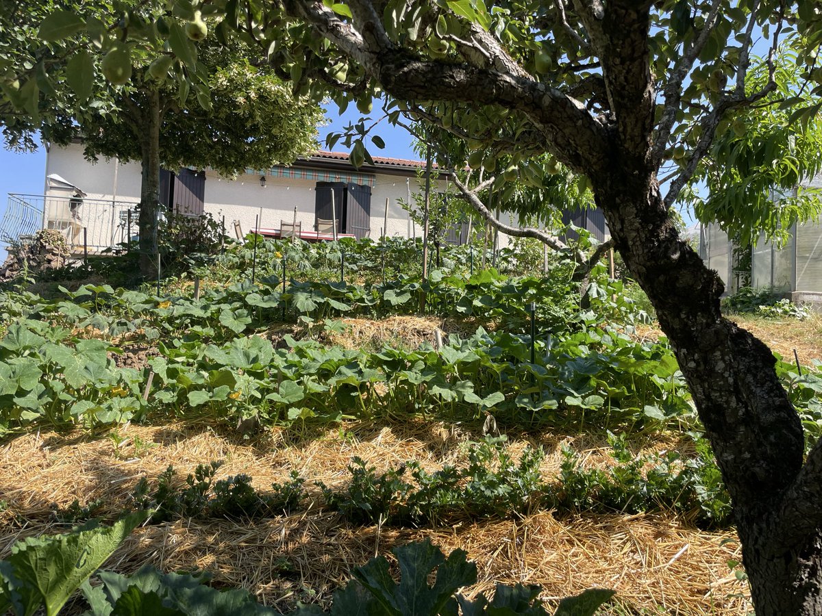 ChristopheBex's tweet photo. 🌾 Ce matin, nous étions auprès de jeunes maraîchers à #Venerque.

En Haute-Garonne, le monde agricole souffre de la violente sécheresse.

Et pour le petit maraîchage, c’est la double-peine : la MSA (mutuelle sociale agricole) ne reconnaît pas leur travail de la terre. https://t.co/NyIMhU29iG