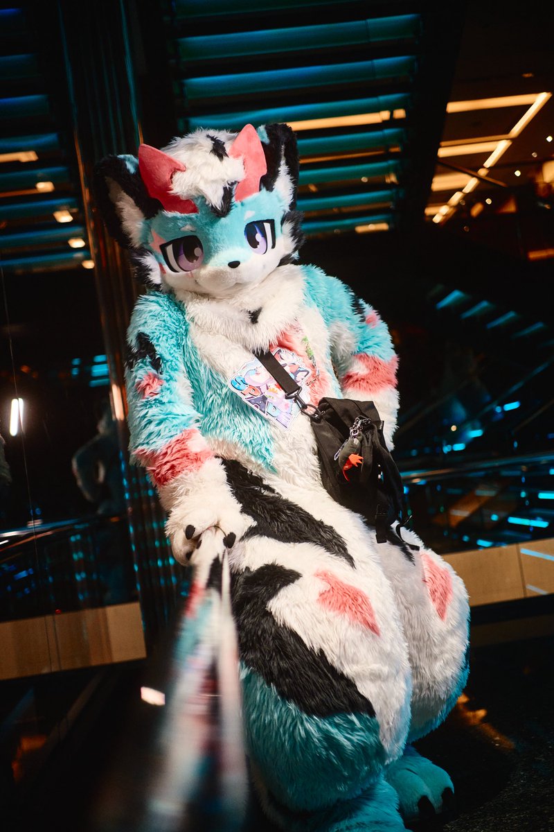 spade_fursuit's tweet photo. 많이 회복했어! 이제 일상생활도 문제없음!

다들걱정해줘서 고마워! 열심히 활동해야지~

#UTFG #UTFG2026 #Fursuit #FursuitEverday https://t.co/7waBa205eu