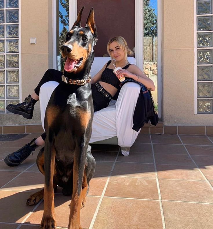Knottskimberly0's tweet photo. The love for dogs these days😍 ,I wonder how you do without them, I wanna stay pawsitive 🐾 as usual.

#doglovers #k9 #usa #girls #family #beastiality #zoophilia #blond #zoo https://t.co/pGLPrLeiqz