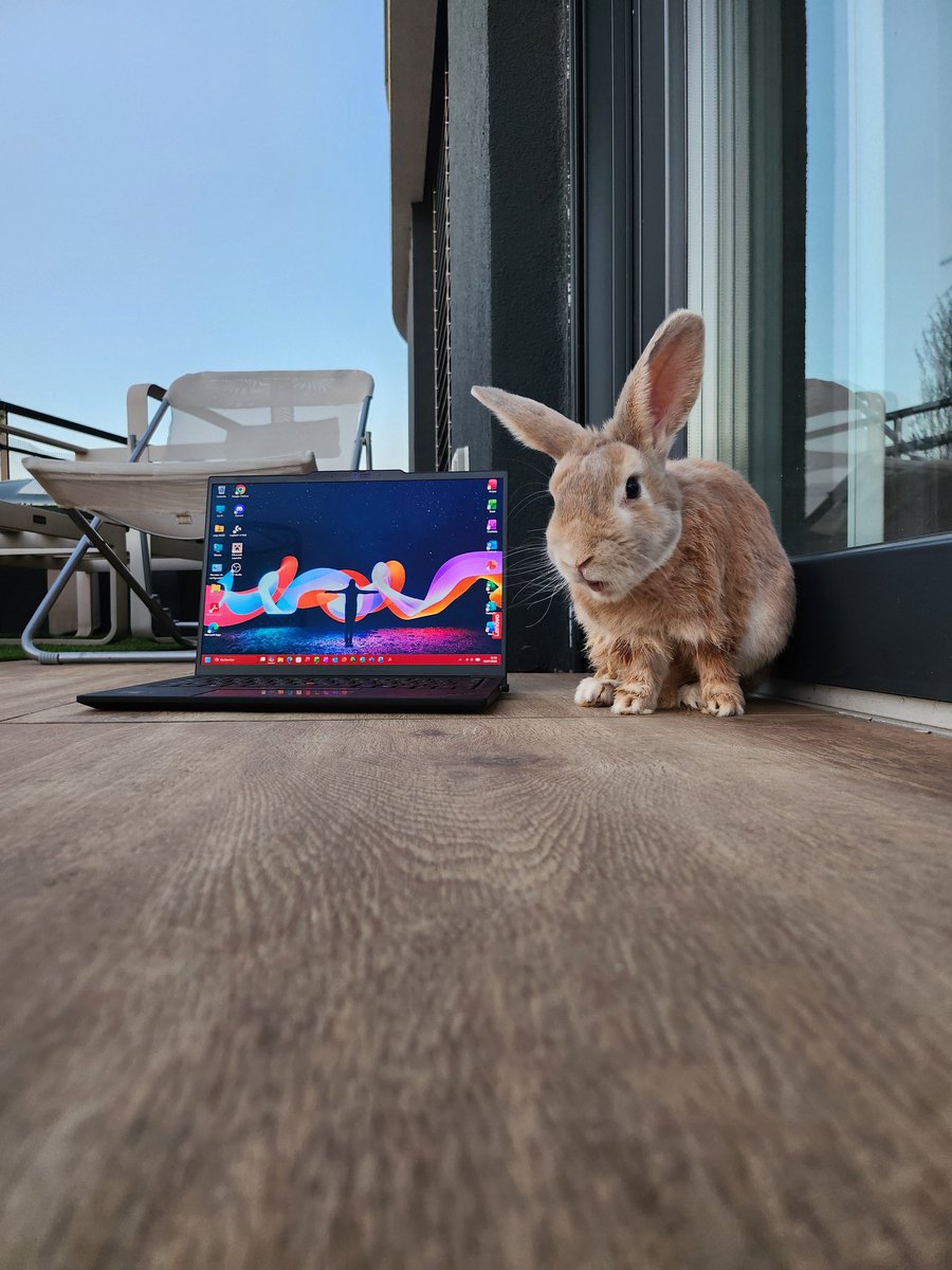 roge_jules's tweet photo. It’s usually #ThinkPadThursday, but a friend has photobombed the picture. 
Bunny and #ThinkPad make a lovely pair.
#LenovoIN #ThinkOn 
@Lenovo https://t.co/6y4MGyJfJ1