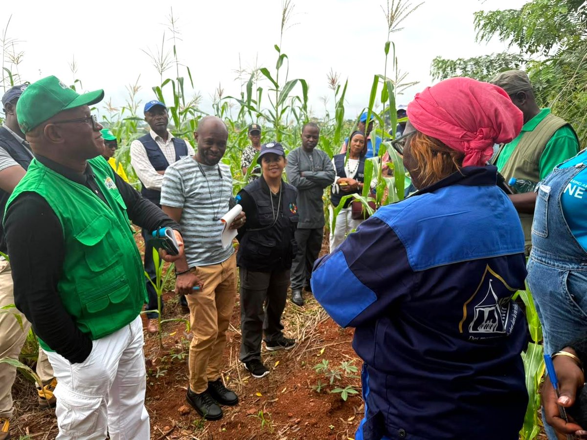 UN_Cameroon's tweet photo. 🌍 #ConvergeFood brings together govt, UN agencies &amp; local actors to advance Cameroon’s National Convergence Agenda on Food Systems &amp; Climate Change.
Financed by Joint SDG Fund, programme supports SMEs &amp; cooperatives under the lead of MINADER, with WFP, FAO, UNEP, UNIDO &amp; UNCDF https://t.co/XsHNhIa16J