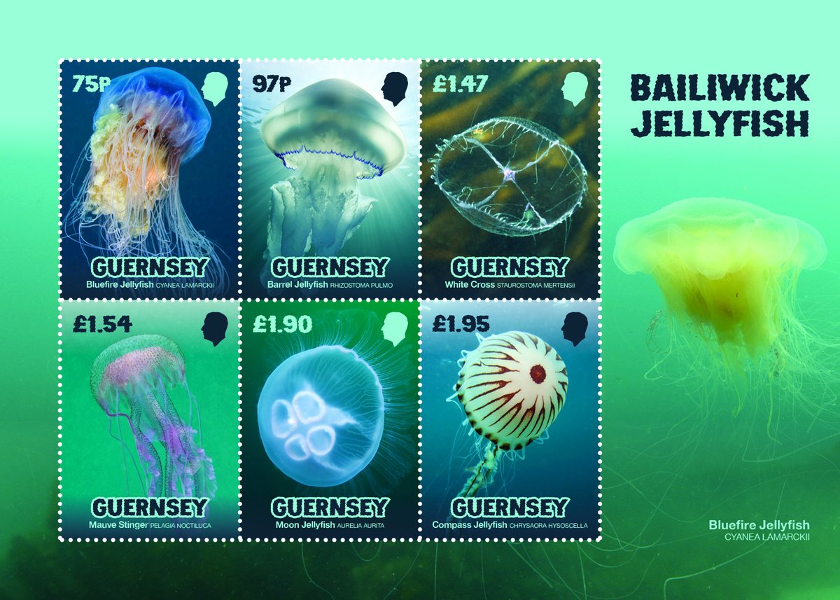 guernseystamps's tweet photo. Our #July #stamps are available to order - from #Bailiwick #Jellyfish, to Victor Hugo and #Sark, and #Alderney’s beautiful Bonne Terre Watermill, we’re proud to offer such a diverse range of themes as part of this year’s calendar. We hope you love the stamps as much as we do. 
Order at https://t.co/fFVC7imYmQ 
#philately #hobbies #collectibles #wildlife #sealife #literature